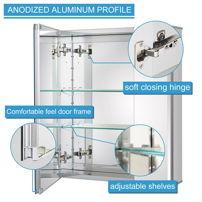 Wrought Studio Zythum 20'' W 24'' H Frameless Medicine with